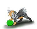 Big Green Ball and Little Dog