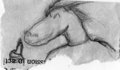Dragon sketch...   ...I think by Ryusho