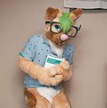 FWA Outfit Preview!