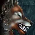 Commission: Seamus