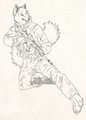 Commission: Wolfennar