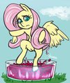Flutterwine