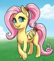 Ponytail by draneas