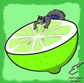 LEMON!!! :3
