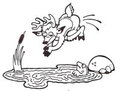Jump in a lake