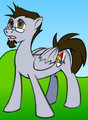 My Random Little Pony