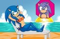 Sonic- Ayamepso