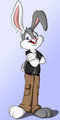 Introducing C.J. Bunny by CJBunny