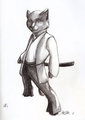 The Kitty Warrior by KaShe
