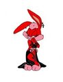 Angie Bunny