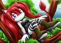 Irma Cat by bbmbbf