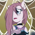 The Sirens… 800+ followers