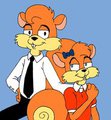 Happy Squirrel Couple