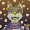 MrKittens Icon