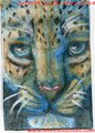 Watercolor ACEO Jag