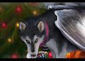 Happy Holidays