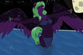 Absorbing the night by Alaskafox
