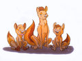 One Happy Family by Colfax