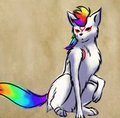Okami Kogie by Kogie