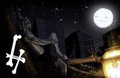 Cat on a tree by bmpfurry