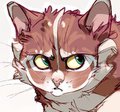 Kittens by xepxyu