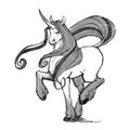 Fulgur Sketch Commission