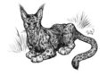 First picture of Feligris ever - art by Cameron