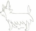 Herdier Sketch