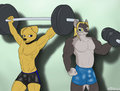 Lifting Buddies