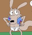 Rocko's Lucky Shirt