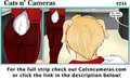 Cats n Cameras Strip #244 Color Confusion by cheetahjab