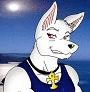 SilverJackal