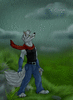Yokothewolf