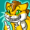 AnimeCat