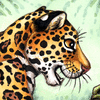 XianJaguar