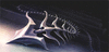 nightarix