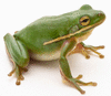GrepAgni