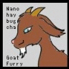 Nanohaybugcha