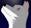 Moonlight555