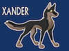 XanderKnight