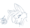 NettFox