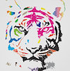 RainbowTigerBoi