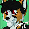 Conner145