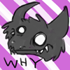 KynoMeow