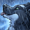 ThunderGrey