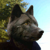 BlackWoodWolf