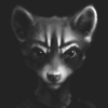 Coonkun