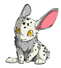 LoveTheRabbit