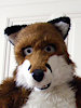 ShyWolf42