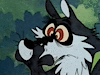 WolfGuyColburn